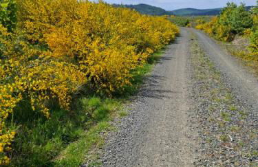 Hochwald chalet - Photo 23