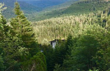 Blackforest Apartment - Foto 36