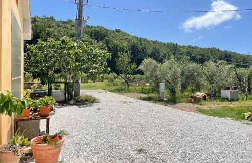 Il Leccio Agriturismo - Foto 65