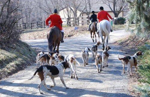 Villa Maud - Foto 28