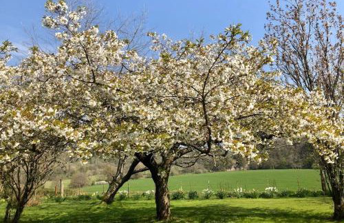 Unique Orchard Lodge for couples with hot tub - Photo 54