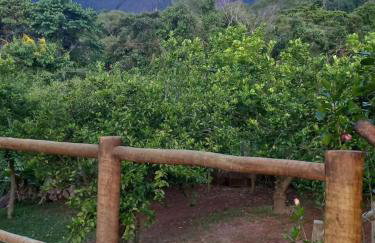 Cantinho do Ipê Alto Caparaó MG - Foto 15