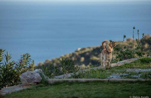 Aegean Panorama Apartments - Foto 46