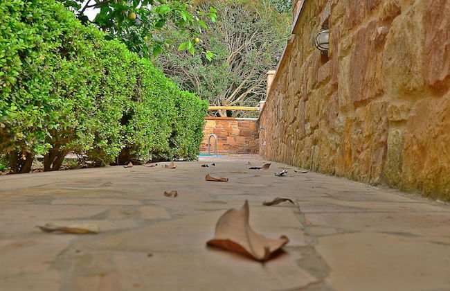 Mastiha Villas in Town - Foto 42