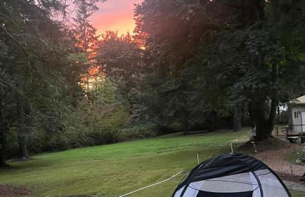 Whispering Pines Farmhouse - Foto 31