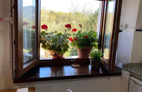 Casa Elena Cangas de Onis con WiFi y parking gratuito - Foto 31