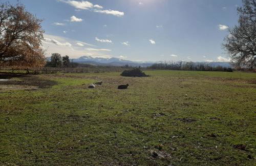 Gîte à la ferme - Foto 16