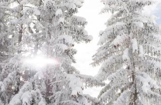 La Ferme des Lombardes by Casalero - Photo 16