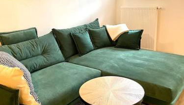 Terrassenwohnung mit Donaublick - Foto 4