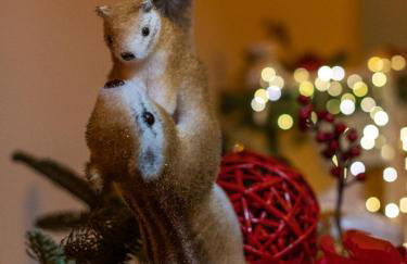 La Nghioscia - Foto 44