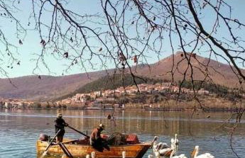 KASTORIA DENDROCHORI Retreat & Rest - Photo 27