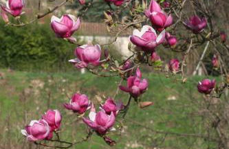 Gîte La Pequelette - Foto 45