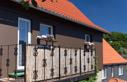 Harzurlaub Heyder - Foto 15