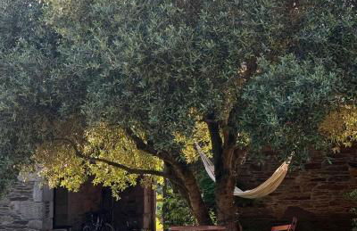 Casa Grande de Láncara - Foto 53