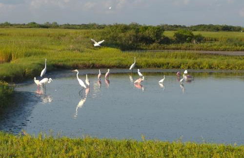 Waterfront Escape - Margie 1974 Silver Streak - Foto 24