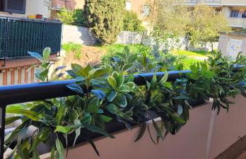 Alloggio Turistico Mennuni - Foto 9