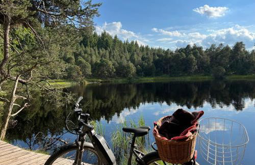 Apartment Schwarzwald-Anni Pool Tennis Sauna - Foto 39
