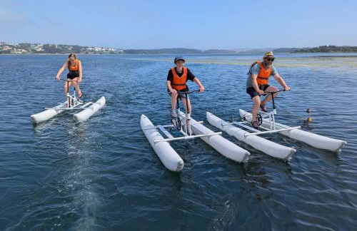 Beachfront Villa with Private Beach Access, Ocean Views, Pool, - Foto 58