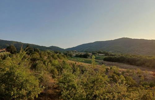 Agriturismo La Bulletta - Foto 60