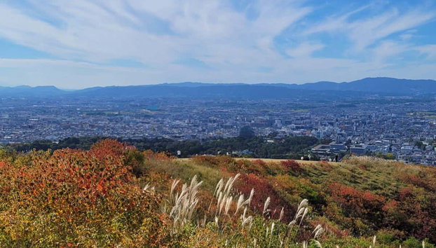 Excursion privée à Nara - Photo 4, Vue panoramique sur Nara