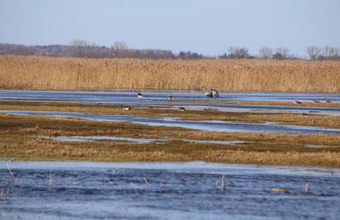 House by the Śliwno-Waniewo footbridge, close to the park - Foto 6
