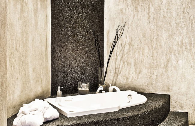 Golden King - Foto 44