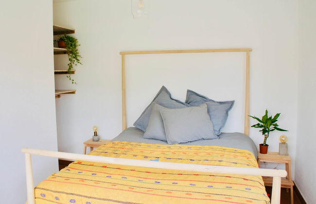 João Jungle - Foto 14