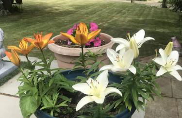 RIVER RETREAT- near Holloway U, Thorpe Park and Heathrow airport - Foto 56