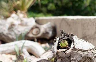 Waterview Apartments - Koru Apartment and pool - Photo 35