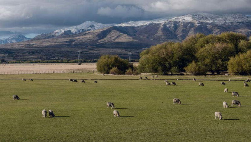 Trevelin & Futaleufú Excursion - Foto 3
