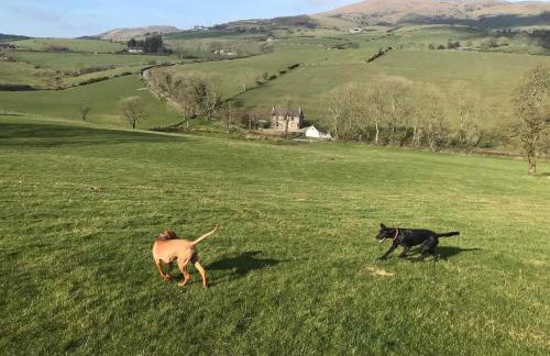 Whitehill Cottage - Photo 10