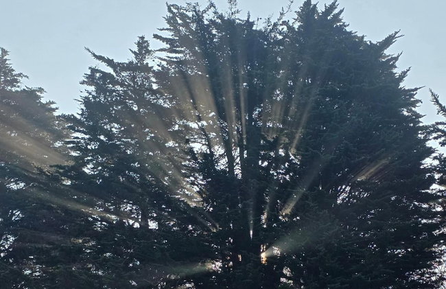 Lighthouse Lodge - Dog Friendly Nr Sutton on Sea - Photo 16