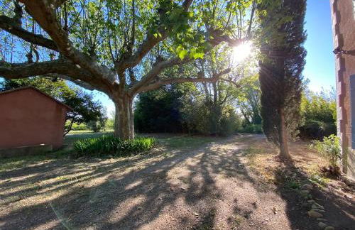 Mas Bruneau - Foto 9