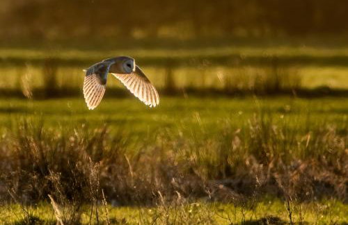 The Nook- A Rustic Cottage in a Beautiful Village. - Photo 19