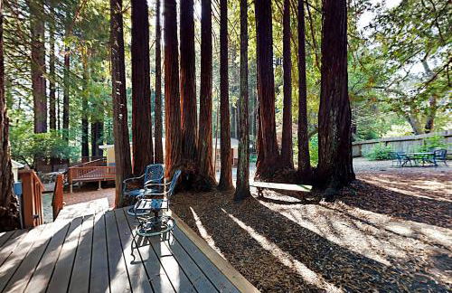 Wagging Woods - Foto 5