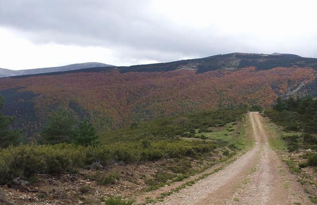 Real Valle Ezcaray - Foto 17