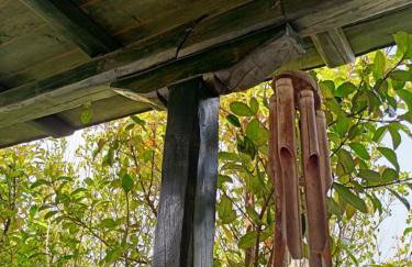 The House in the Mulberries Trees - Photo 30