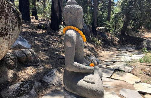 Luxury Camping Cabin with an Indoor Fireplace in Idyllwild, California - Foto 13