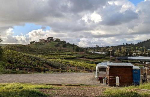 Artsy Airstream for a California Glamping Weekend near San Diego - Foto 38