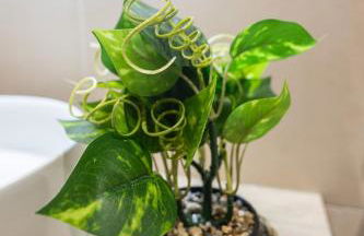 Les Arts Turia by Concept Flats - Photo 7