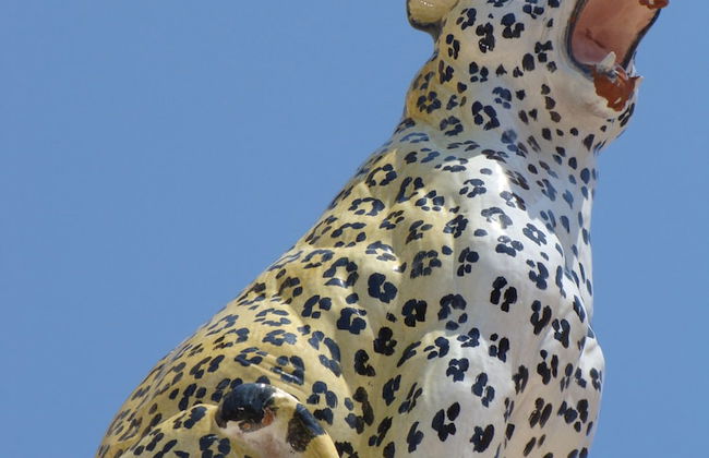 Guest House Al Gattopardo - Photo 23