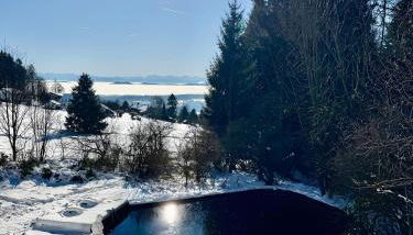 Alpenblick-Hotzenwald - Foto 3