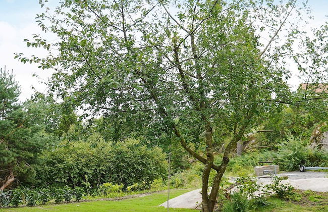 4 Person Holiday Home in Hoviksnas - Photo 19