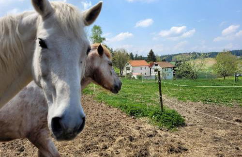 Apartment Fichtel-Tiny House by Interhome - Foto 11