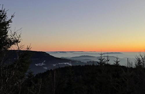 Rückzugsort mit Bergblick in Baiersbronn-Obertal - beheizter Wintergarten & kostenfreier Parkplatz - 70qm Ferienwohnung - Foto 21