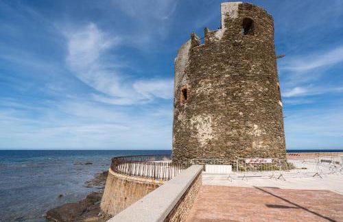 Tasa tiago - Foto 27