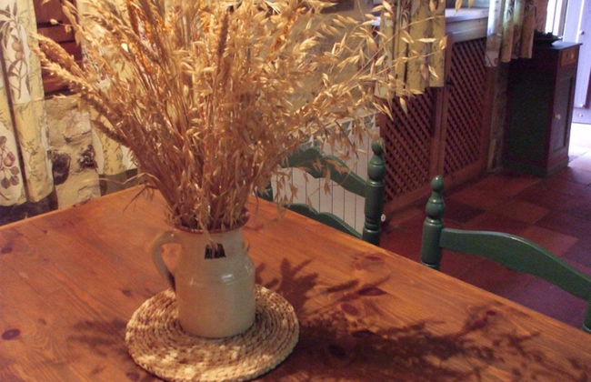 Finca Santa Eufemia - Foto 10