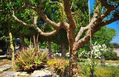 Masseria San Cosimo - Foto 28