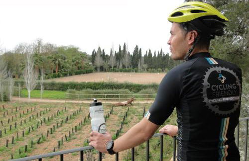 Finca Agroturismo Son Menut - Foto 45