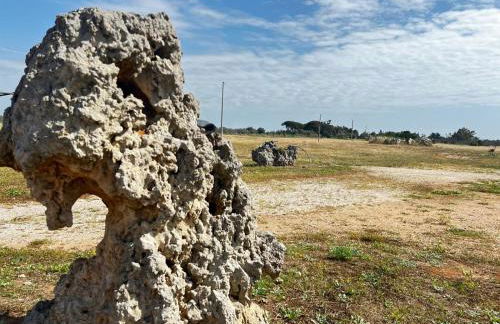 Agriturismo Molle - Foto 5